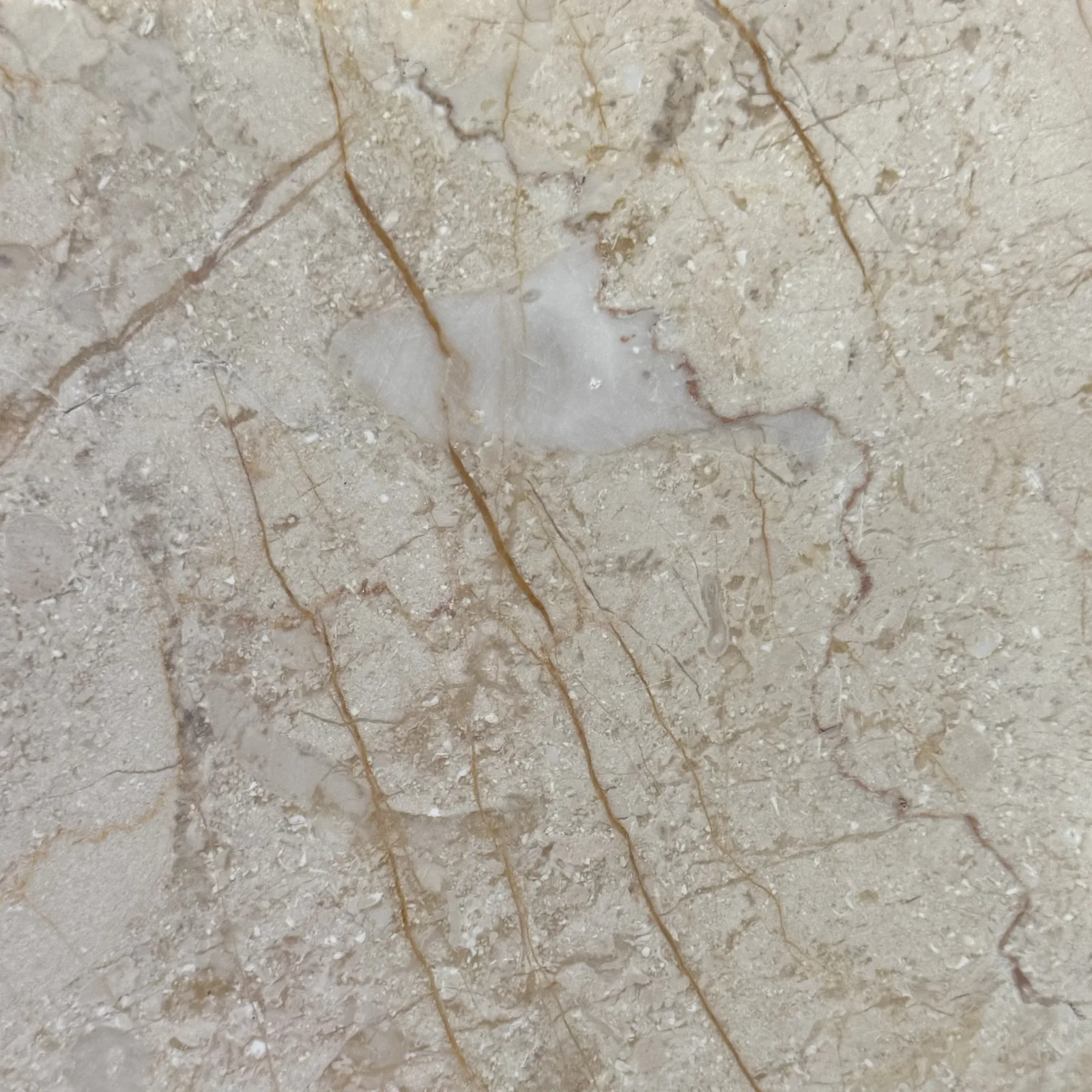 Crema Nova
